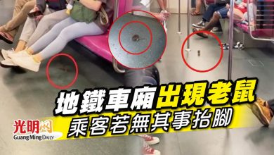 Photo of 地鐵車廂出現老鼠 乘客若無其事抬腳