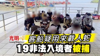 Photo of 客船疑用來載人蛇 19非法入境者被捕