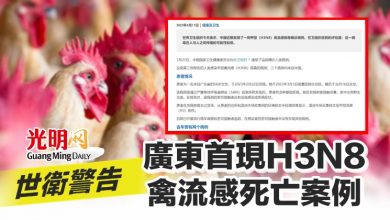 Photo of 世衛警告 廣東首現H3N8禽流感死亡案例