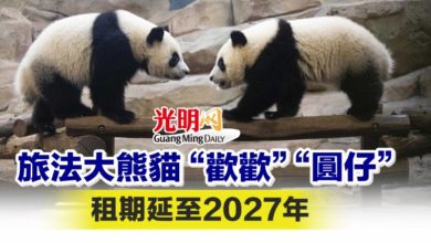 Photo of 旅法大熊貓“歡歡”“圓仔” 租期延至2027年
