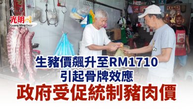 Photo of 生豬價飆升至RM1710 引起骨牌效應 政府受促統制豬肉價