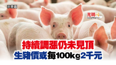 Photo of 持續調漲仍未見頂 生豬價或 每100kg 2千元