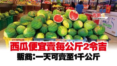 Photo of 西瓜便宜賣每公斤2令吉  販商：一天可賣至1千公斤