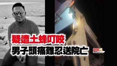 Photo of 疑遭土蜂叮咬  男子頭痛難忍送院亡