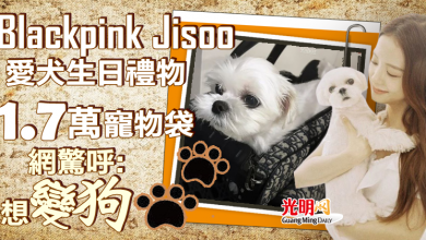 Photo of Blackpink Jisoo愛犬生日禮物1.7萬寵物袋 網驚呼太好命：想變狗