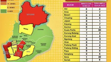 Photo of 截至今年第20周 共有228宗蚊症  玻有4區為紅區