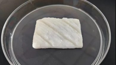 Photo of 3D打印出魚肉？ 浙江大學：與自然魚肉別無二致