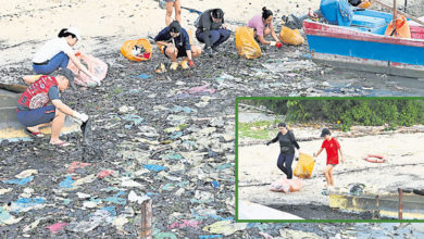 Photo of 【愛環境，零垃圾3】Beach Cleanup Penang淨灘  留給後代乾淨沙灘