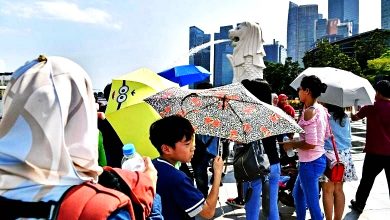 Photo of 36.6度 新加坡創今年最高溫
