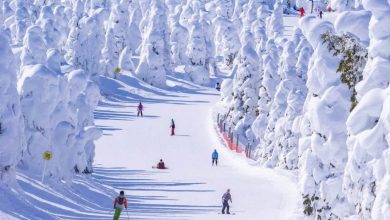 Photo of 全球暖化 日本知名“藏王樹冰”絕景恐不再