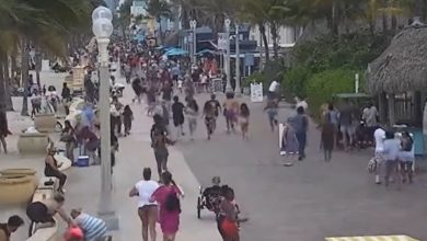 Photo of 好萊塢海灘爆鎗擊案9人傷 已捕1嫌犯