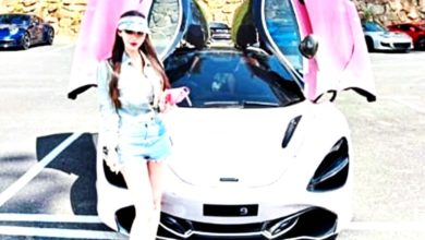 Photo of 出價逾90萬競標FF9車牌 美女企業家：為紀念狗狗