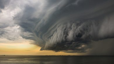 Photo of 國內8州易受厄爾尼諾現象影響 地表溫度升高雨量減少