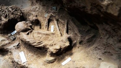 Photo of 考古隊丹州格樂同洞穴 發現完整史前人類骨骸
