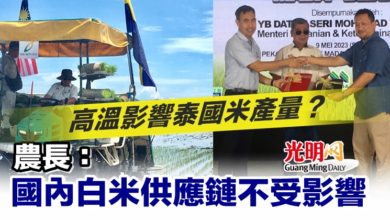 Photo of 高溫影響泰國米產量？ 農長：國內白米供應鏈不受影響