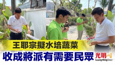Photo of 王耶宗擬水培蔬菜 收成將派有需要民眾