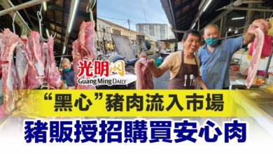 Photo of “黑心”豬肉流入市場 豬販授招購買安心肉