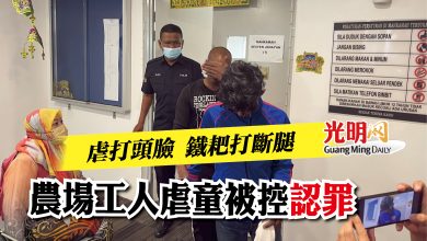 Photo of 虐打頭臉 鐵耙打斷腿  農場工人虐童被控認罪