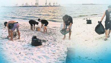 Photo of 【愛環境，零垃圾完結篇】還大海一片清淨Project STOP  喚醒保護海洋意識