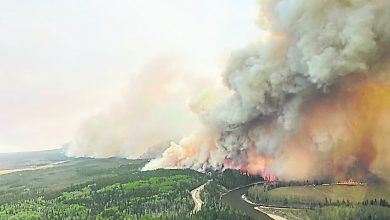 Photo of 加拿大將迎降雨  或減緩山火濃煙蔓延