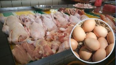 Photo of 【國會】肉雞雞蛋補貼630結束 農長：7月1日起價格自由浮動