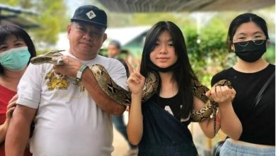 Photo of 兩車相撞3死5傷慘劇  倖存少女仍昏迷不醒