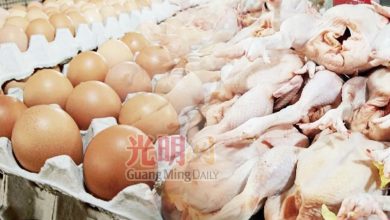 Photo of 檳消協：若無補貼 蛋肉雞價將漲5%