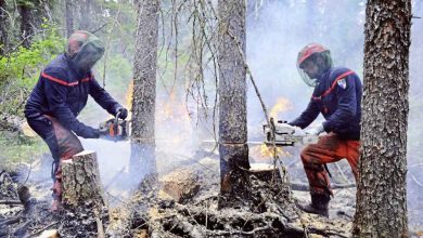 Photo of 加野火毀逾千萬公頃林地 超出科學家最悲觀預測