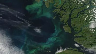 Photo of 全球56%海洋變色 研究：人為氣候變遷是禍首