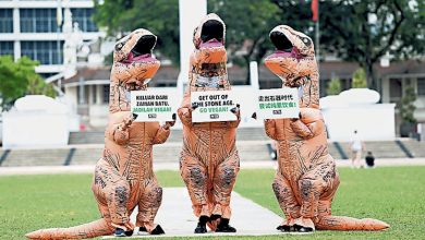 Photo of PETA 3志願者裝扮 恐龍街頭宣揚持素