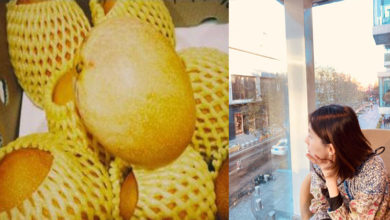 Photo of 女歌手突收2年前包裹 「爸生前訂的」網民:是芒果怎麼有洋蔥味
