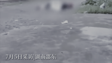 Photo of 【視頻】為救17歲少女 七旬老翁遭惡漢捅十幾刀亡