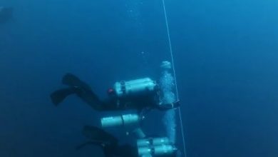 Photo of 潛入西巴丹島海底164公尺 沙潛水好手創大馬紀錄
