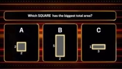 Photo of 哪個正方形面積最大？簡單選擇題僅25%人答對