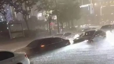 Photo of 最強降雨襲浙江嘉善  屋內變泳池樓梯成“瀑布”