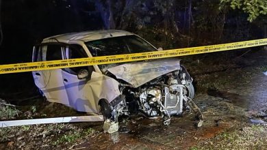 Photo of 先後撞上摩多轎車逃  肇禍司機撞樹重傷亡