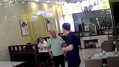 Photo of 抱狗進餐廳被要求離開 狗主罵老闆爸：你沒牠命貴