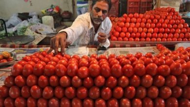 Photo of 印度麥當勞停用番茄醬 “番茄比汽油還貴”