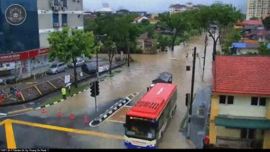 Photo of 一場長命雨  導致檳島多處水災樹倒