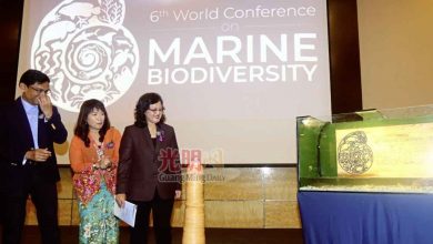 Photo of 【世界海洋生物多樣性大會】阿茲琳達：守漁業旅遊資源 大馬要擴大海洋保護區