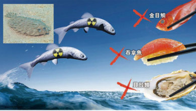 Photo of 日本排核污水憂海產有輻射  勿吃3種魚和貝殼類