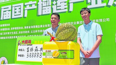 Photo of 6.91公斤“榴槤王”拍出24萬