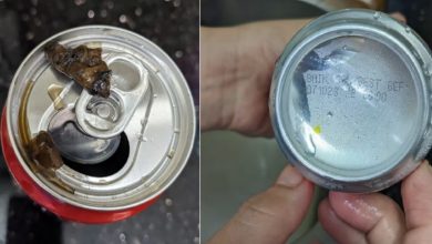 Photo of 網民指罐內含不明物質  可口可樂：密切調查中