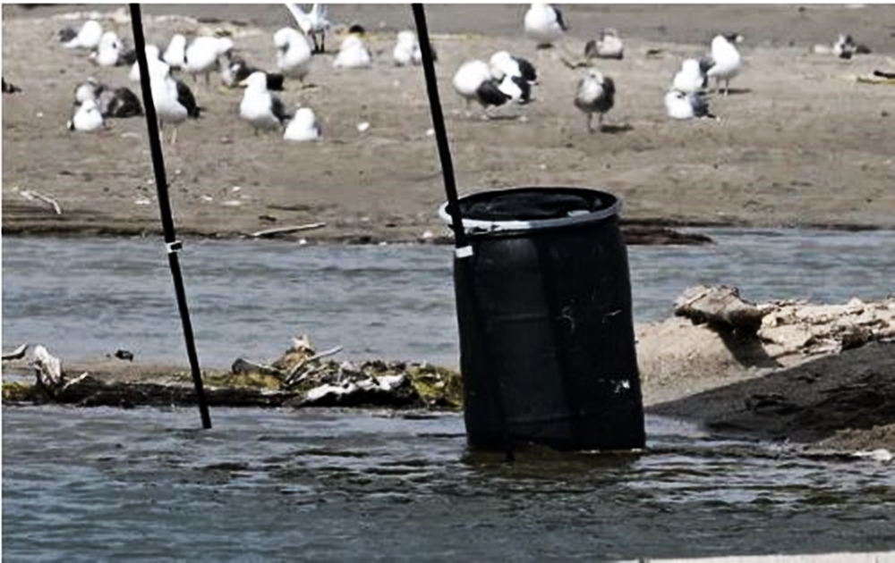 一位工人在太平洋海岸公路附近的海邊發現一個塑膠桶在漂流，將其拉回岸邊後並未打開