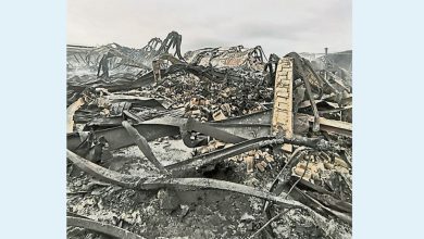 Photo of 雙溪毛糯海綿廠大火 消拯員一夜灌救滅火