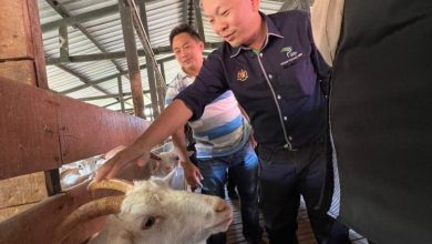 Photo of 陳泓縑:漁業有自主權 沙可自列瀕危物種