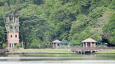 Photo of 耗700萬打造 明年中開幕 怡崑崙浪設恐龍樂園