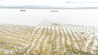 Photo of 鄱陽湖水位持續偏低 刷新最早跌破枯水位紀錄