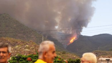 Photo of 西班牙野火蔓延300公頃 5村莊村民緊急疏散