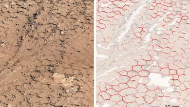 Photo of 研究：火星有利生命存在 乾濕交替氣候就是證據